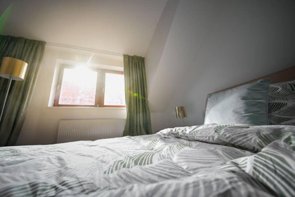 Appartement V Centru Deni à Olomouc Extérieur photo